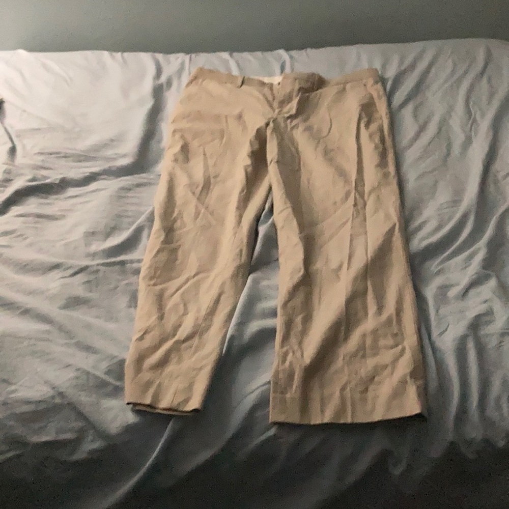 Express Khaki pants